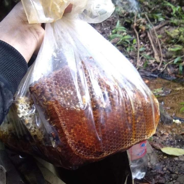 Mật Ong